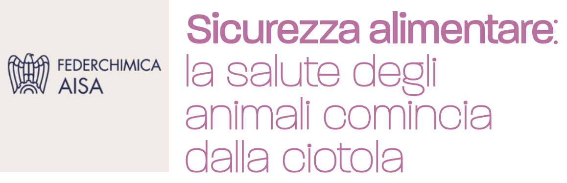 Immagine 2025-12-01 122306