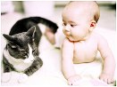Baby con gatto